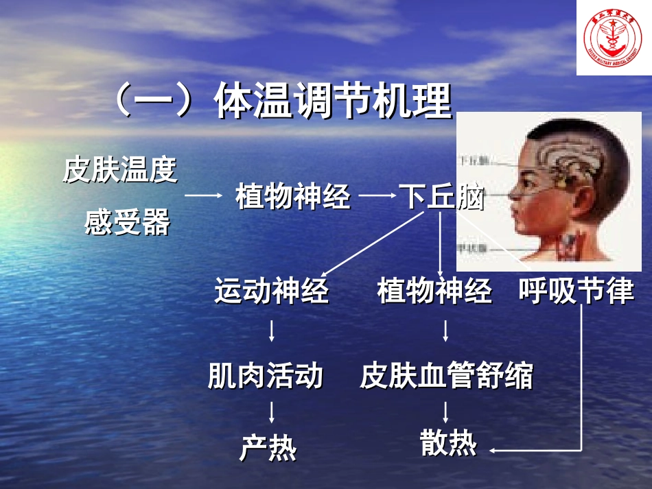 基层连队常见症状_第3页