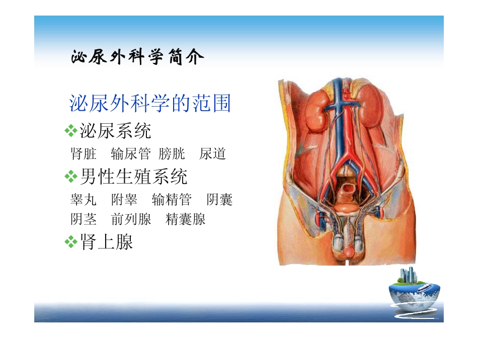 泌尿系疾病症状_第2页
