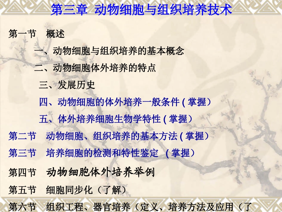 动物细胞与组织培养技术_第1页