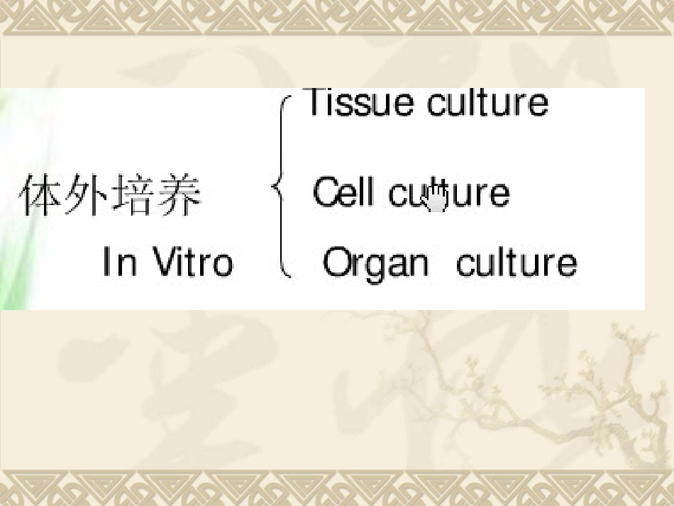 动物细胞与组织培养技术_第3页