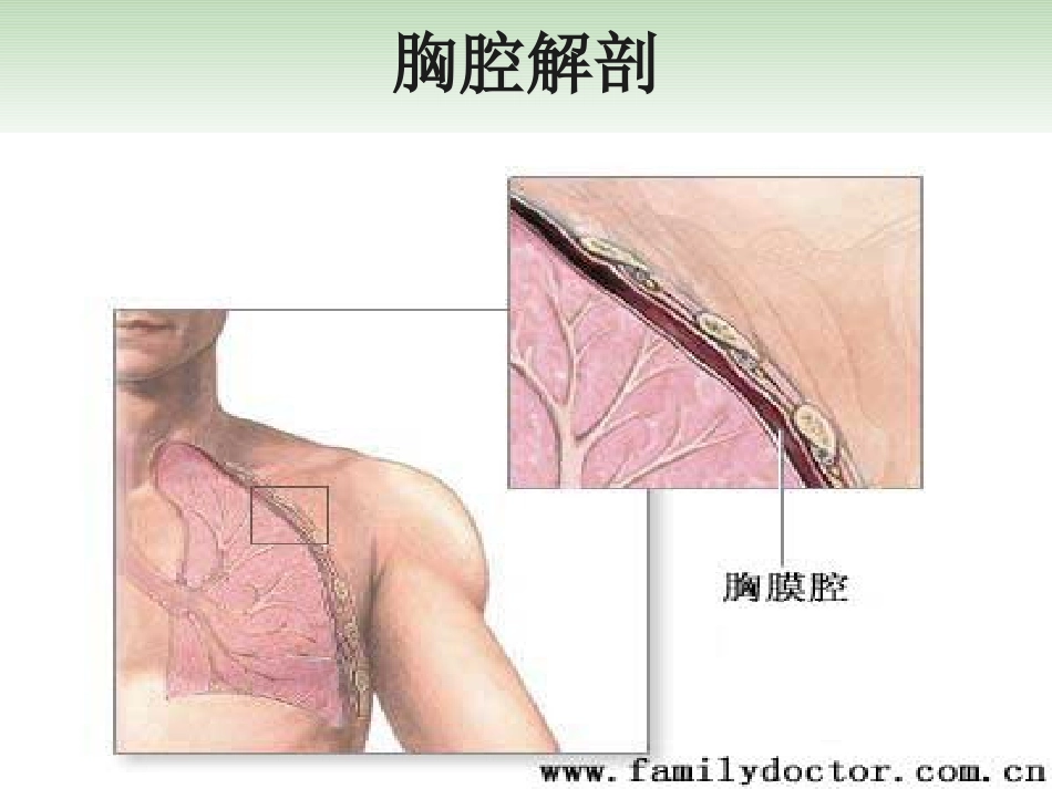 wyg-胸腔积液_第3页