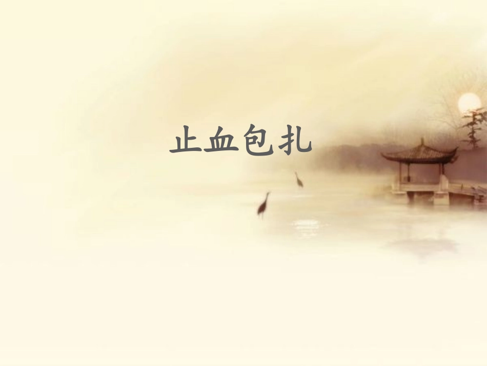止血包扎ppt._第1页