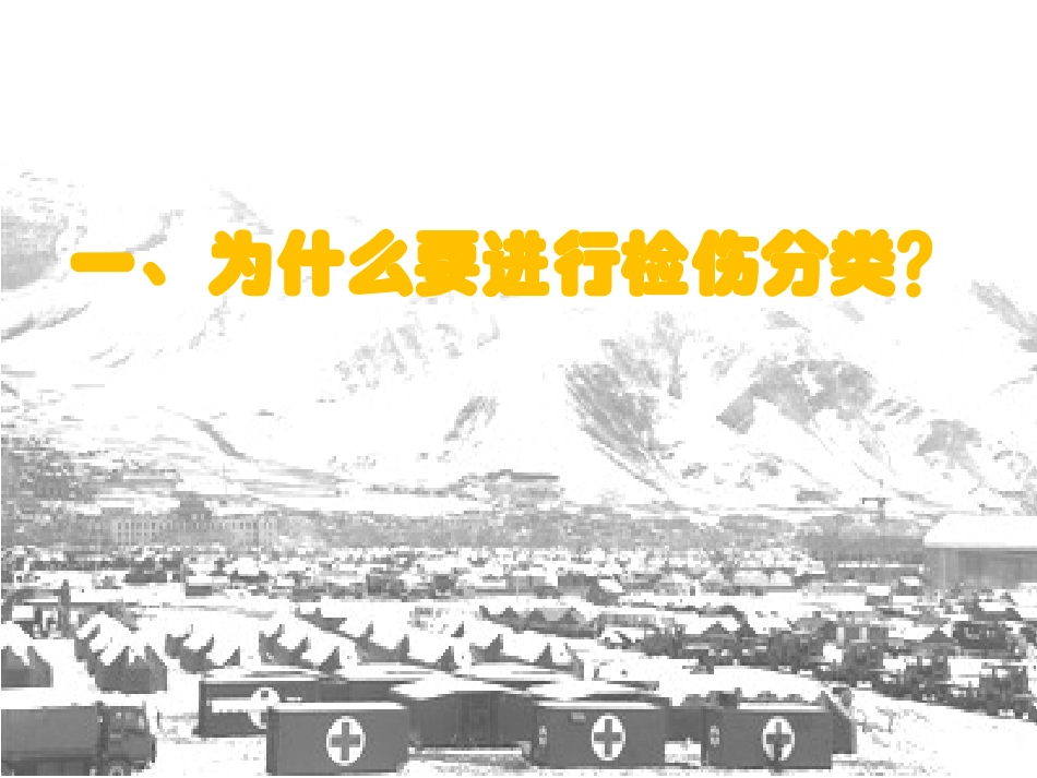 灾害现场检伤分类_第2页