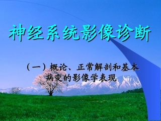 神经正常解剖