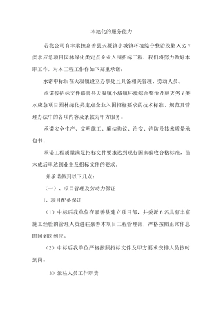 本地的化服务能力.