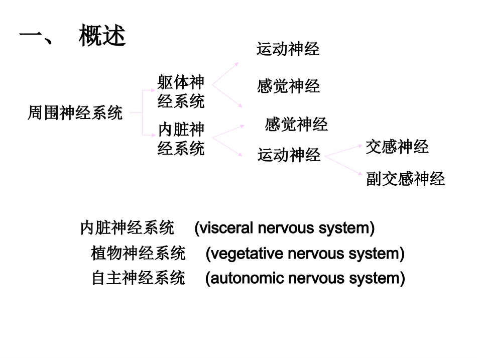 内脏神经liyuan_第3页