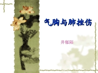 气胸与肺挫伤.ppt
