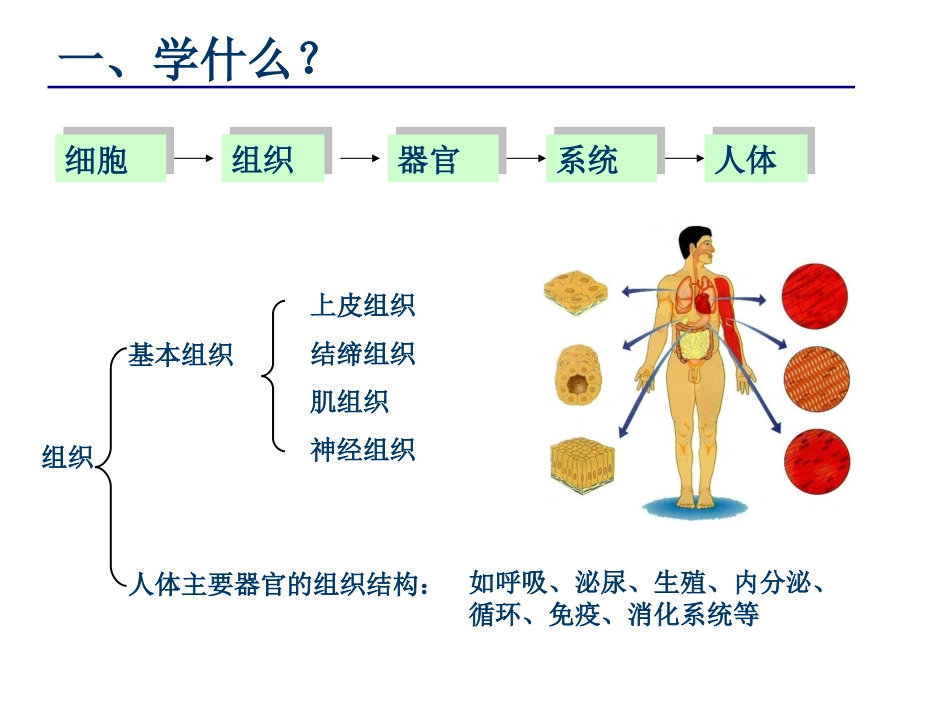 康复4 消化系统修_第3页