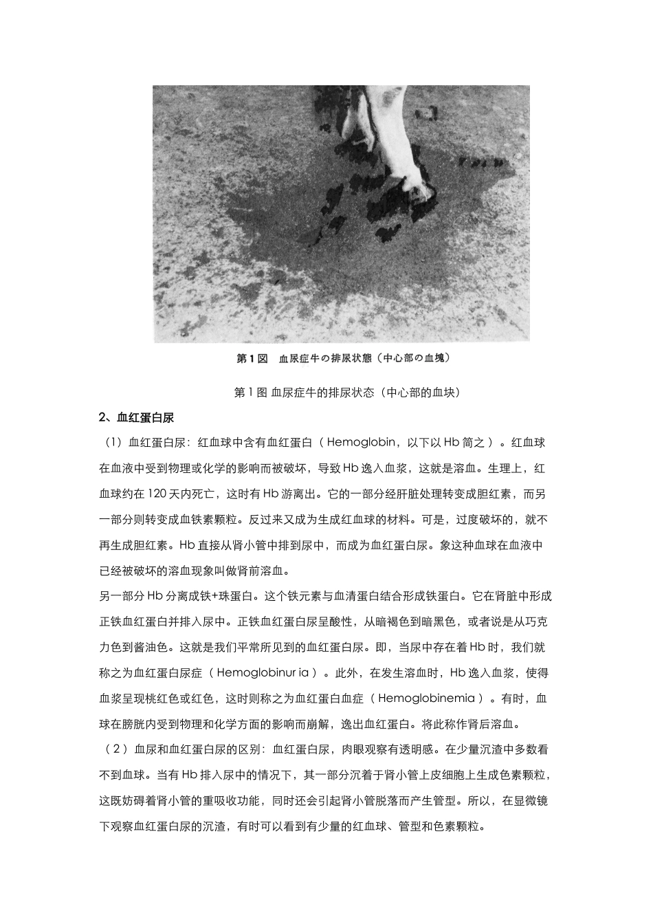 牛的红尿和疾病(单)_第3页