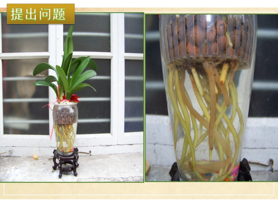 细胞呼吸(市级公开课)_第3页