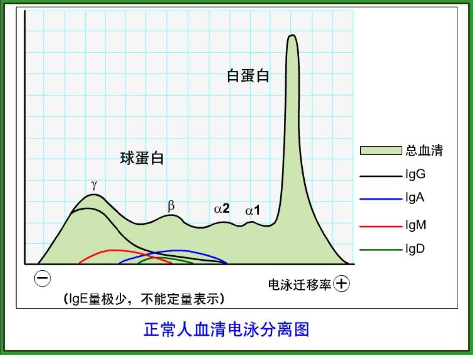 第1章  抗体_第3页