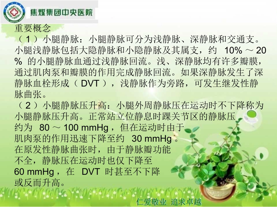 下肢静脉曲张.ppt_第3页