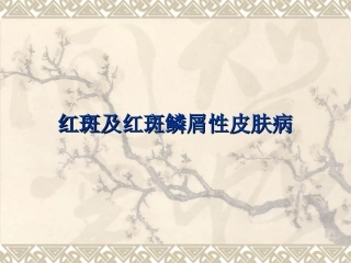 红斑及红斑鳞屑性皮肤病