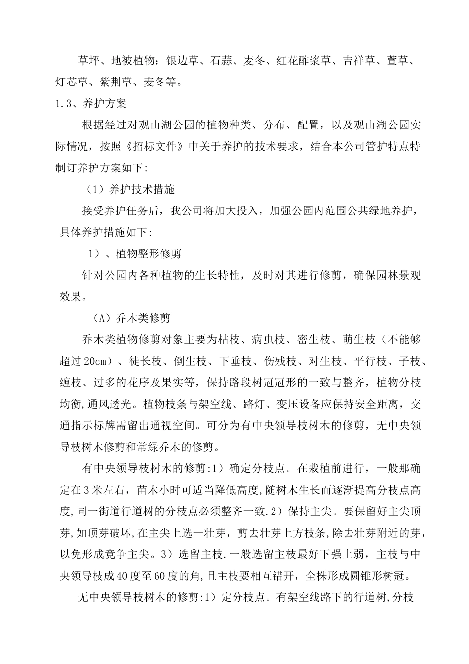 养护技术方案_第2页