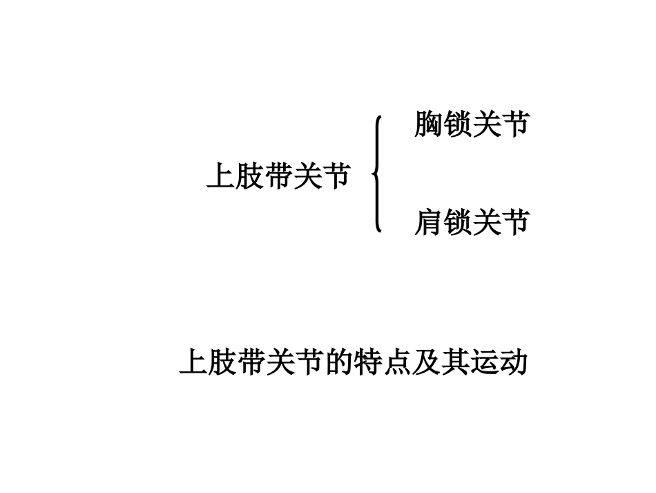 第三章 第二节 3 上肢骨连结和主要肌群_第3页