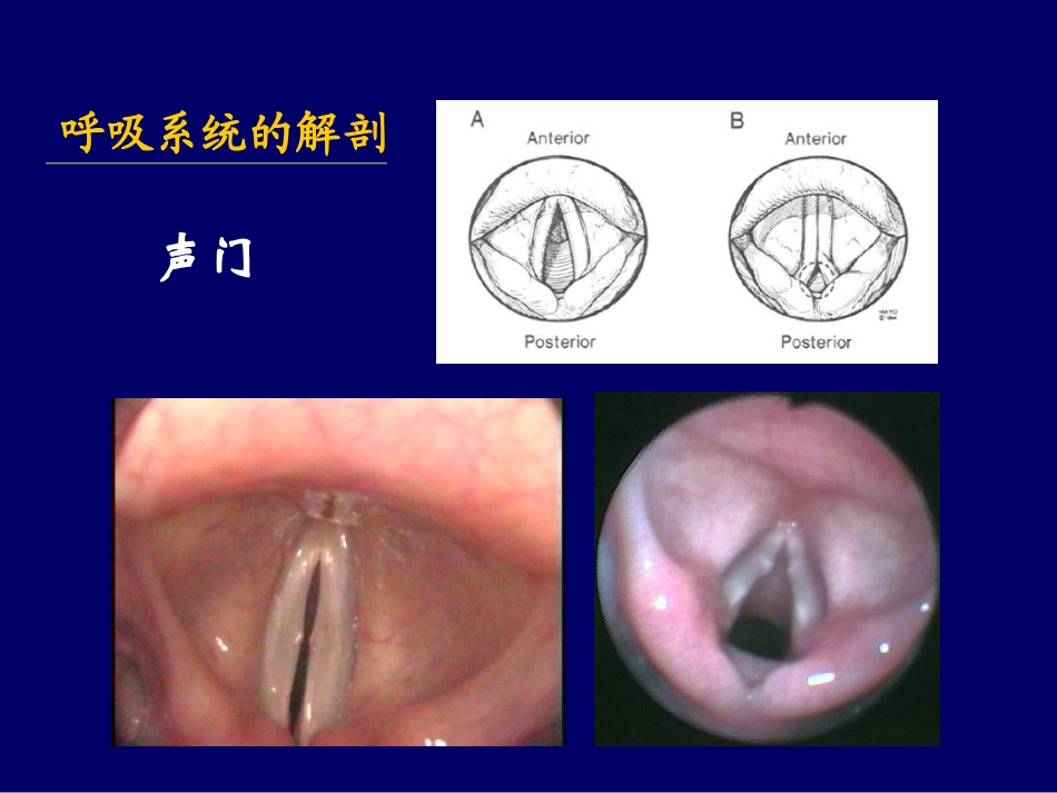 ICU nurse training_第3页