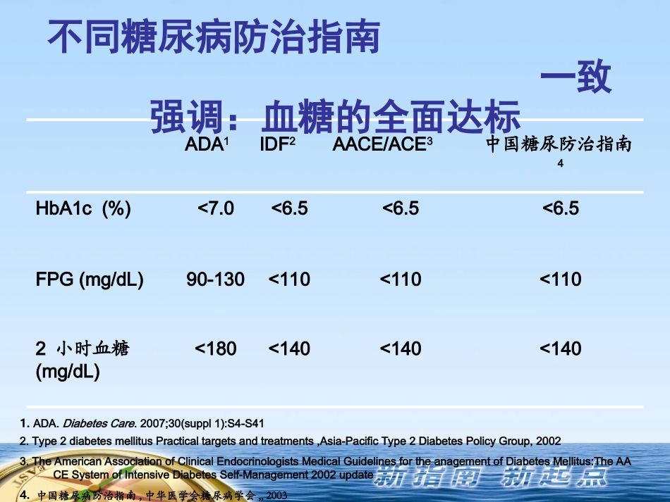 IDF糖尿病防治指南-YUAN_第3页