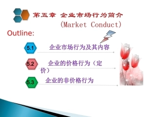 第五章 企业的市场行为