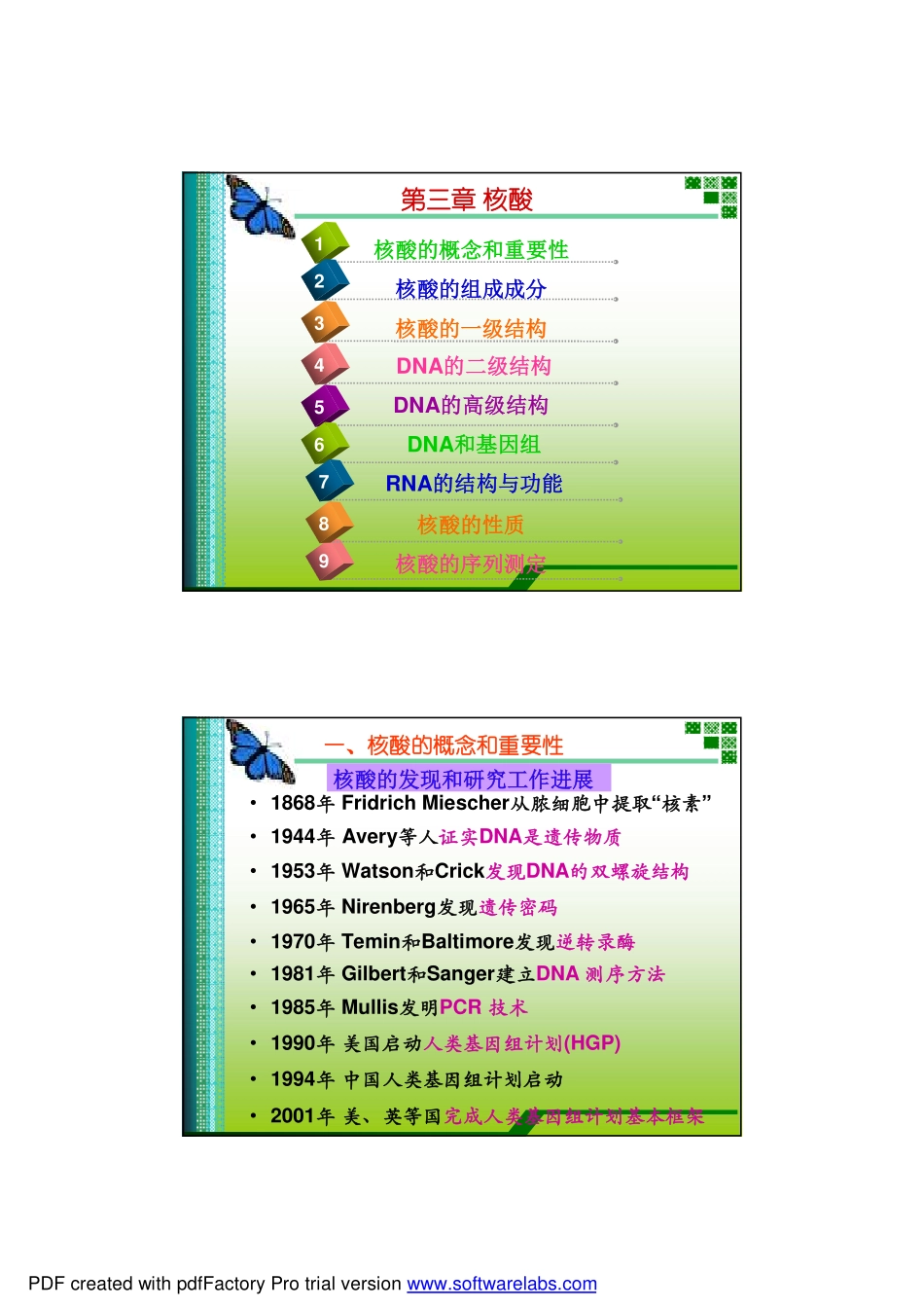 Chapter 3 核酸_第1页