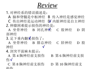 周围神经系统脑神经