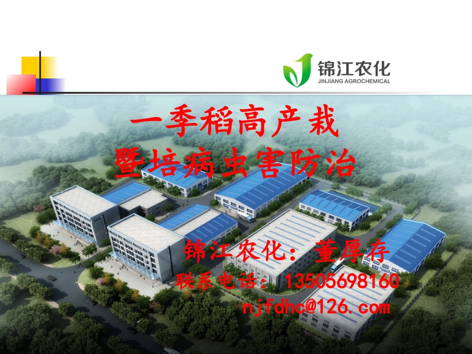 水稻栽培技术及病虫害防治.ppt_第1页