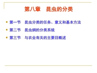 第八章  昆虫的分类1