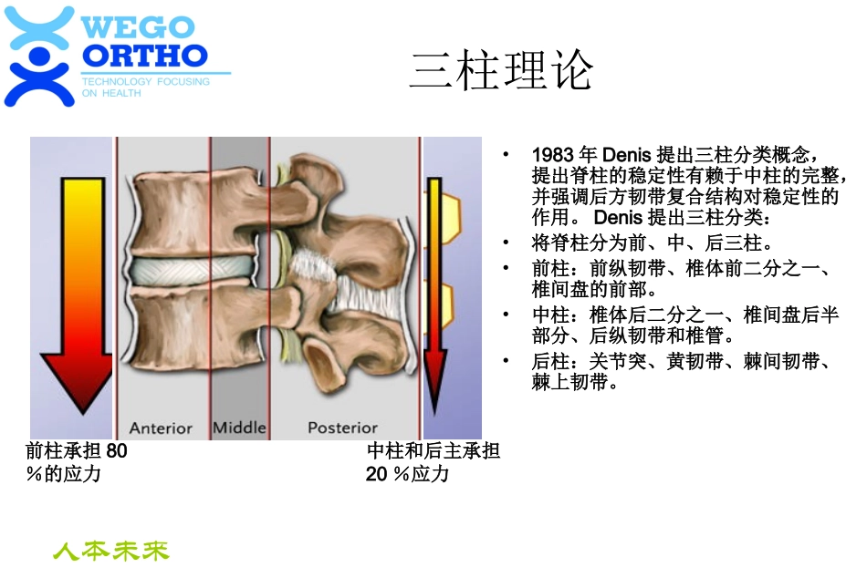 脊柱内固定原理介绍_第3页