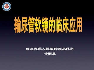 输尿管软镜在泌尿外科的应用-杨嗣星-精简版-Mod1