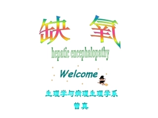 第五章 缺氧