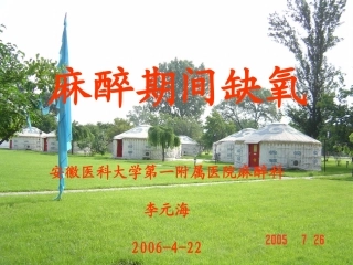 麻醉期间缺氧-李元海