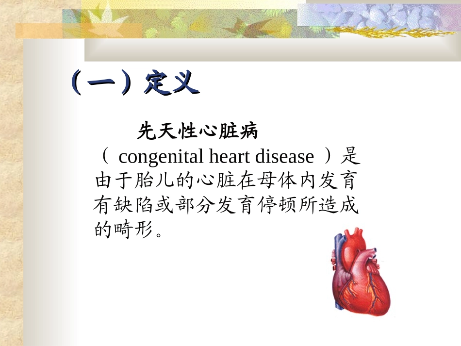 先天性心脏病模板_第2页