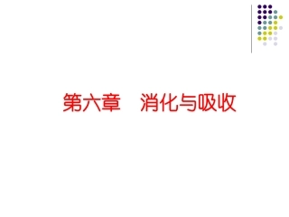 第六章 消化与吸收