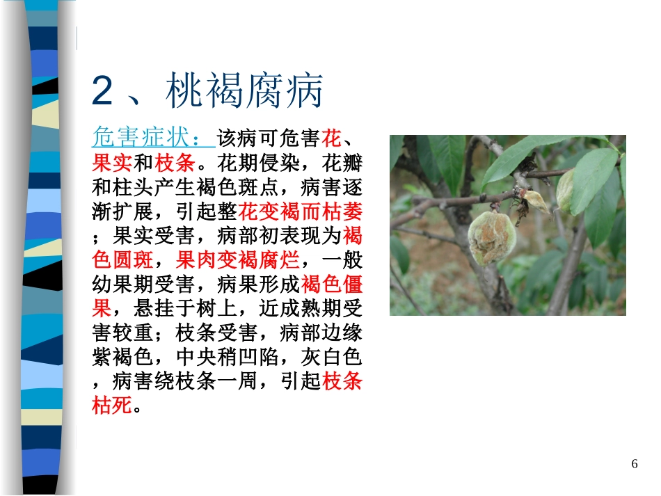桃树病虫害防治技术_第3页