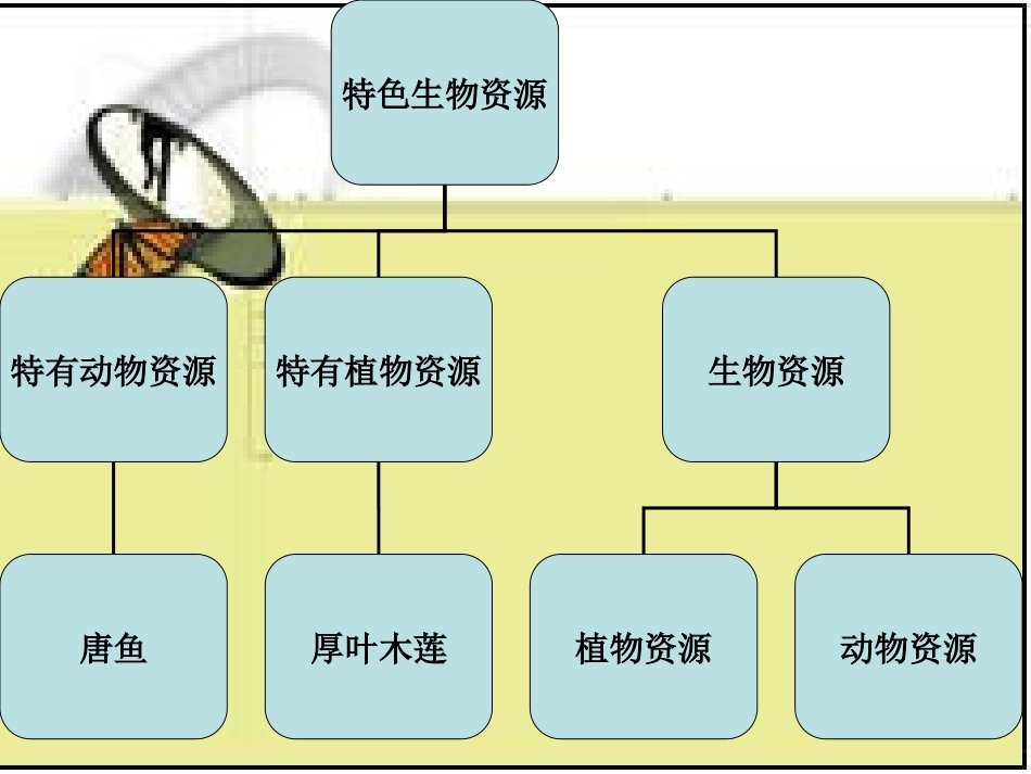 广东特色生物资源.ppt2完整_第2页