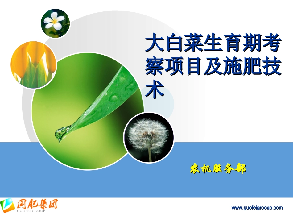 大白菜生育期考察项目及施肥技术_第1页
