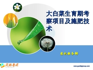 大白菜生育期考察项目及施肥技术