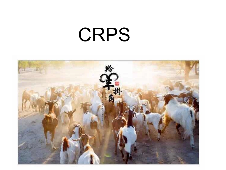 CRPs-复杂性区域疼痛综合征_第1页