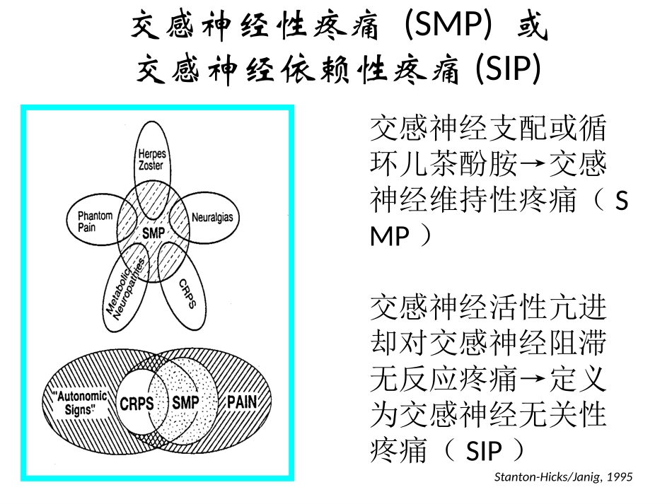 CRPs-复杂性区域疼痛综合征_第3页