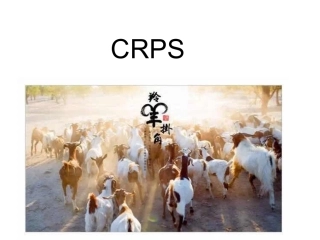CRPs-复杂性区域疼痛综合征