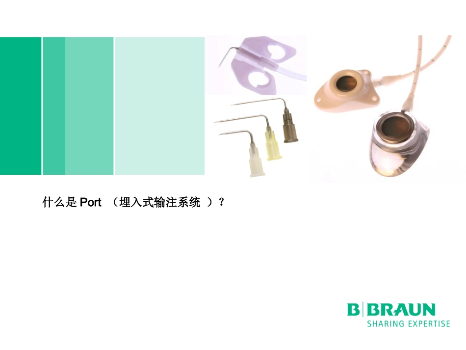 埋入式输注系统之椎管内通路药盒_第3页