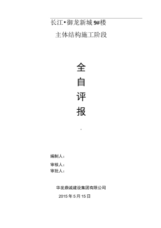 主体安全自评报告