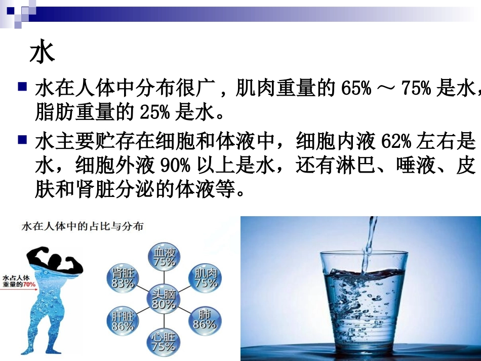 《烹饪营养学》-第十四讲-水与谷类原料的营养价值--2017版_第3页