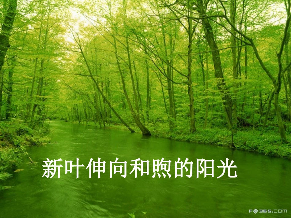 细胞的能量“通货”ATP_第2页