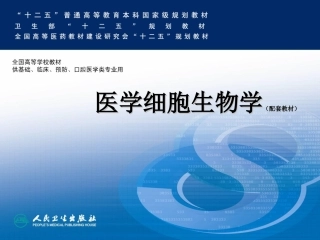 细胞外基质及其与细胞的相互作用