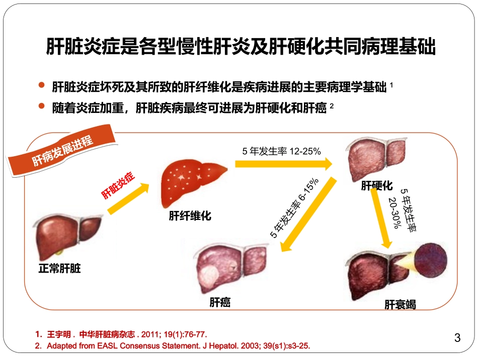 (2015.4.18终)抗炎保肝在肝炎肝硬化治疗中的地位_第3页