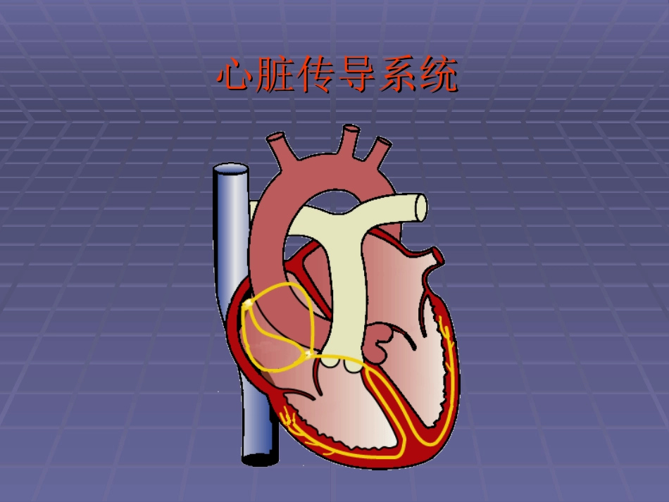 起搏器相关知识_第2页