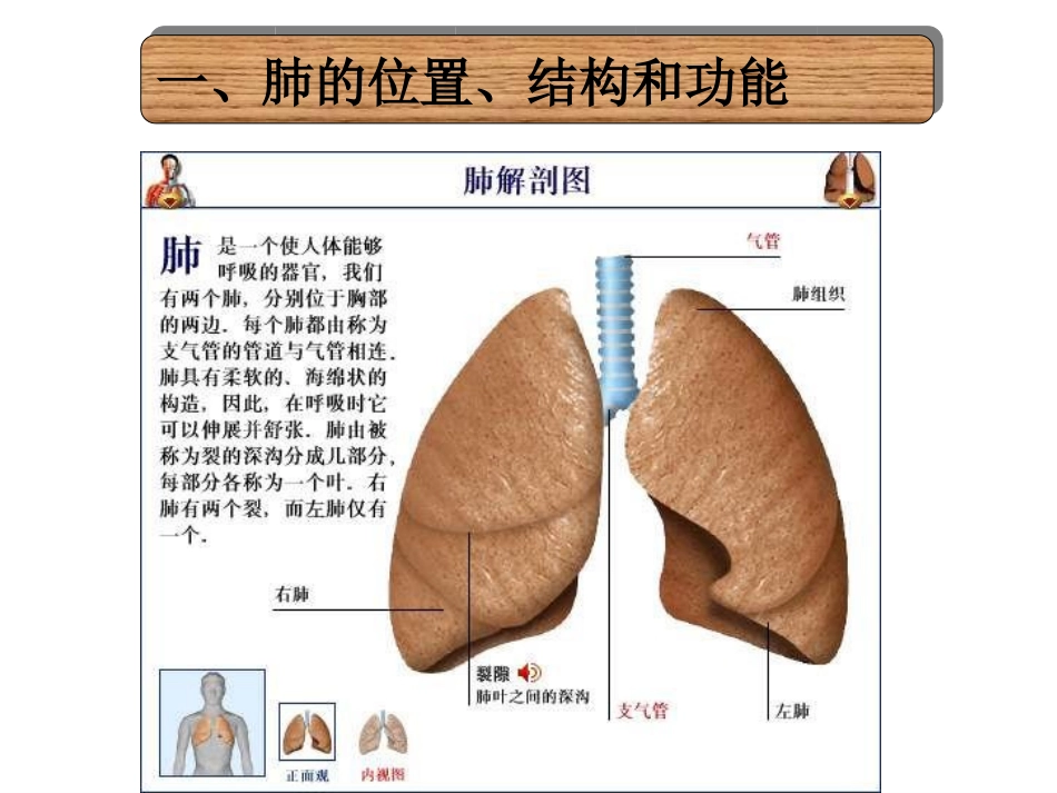 第二节 发生在肺内的气体交换ppt_第3页