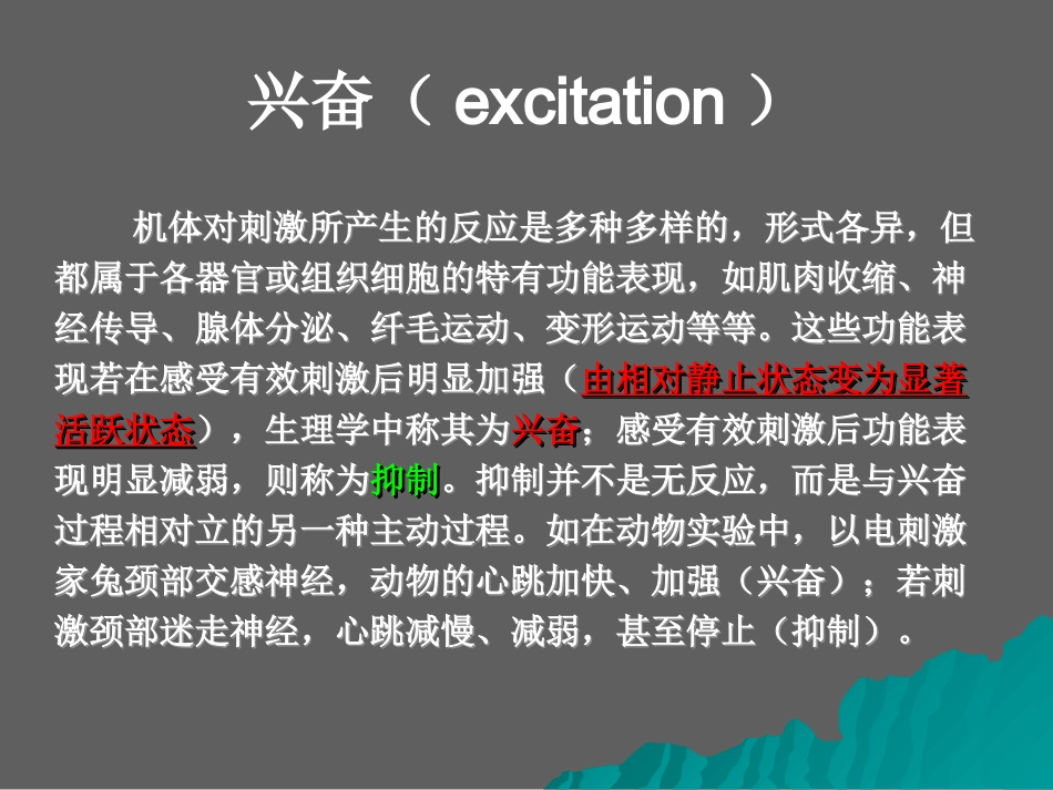高中生物核心概念高考复习课件-兴奋在神经元上产生、传导和传递_第3页