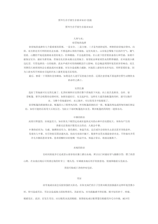 野外生存手册