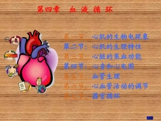 第四章  循环生理